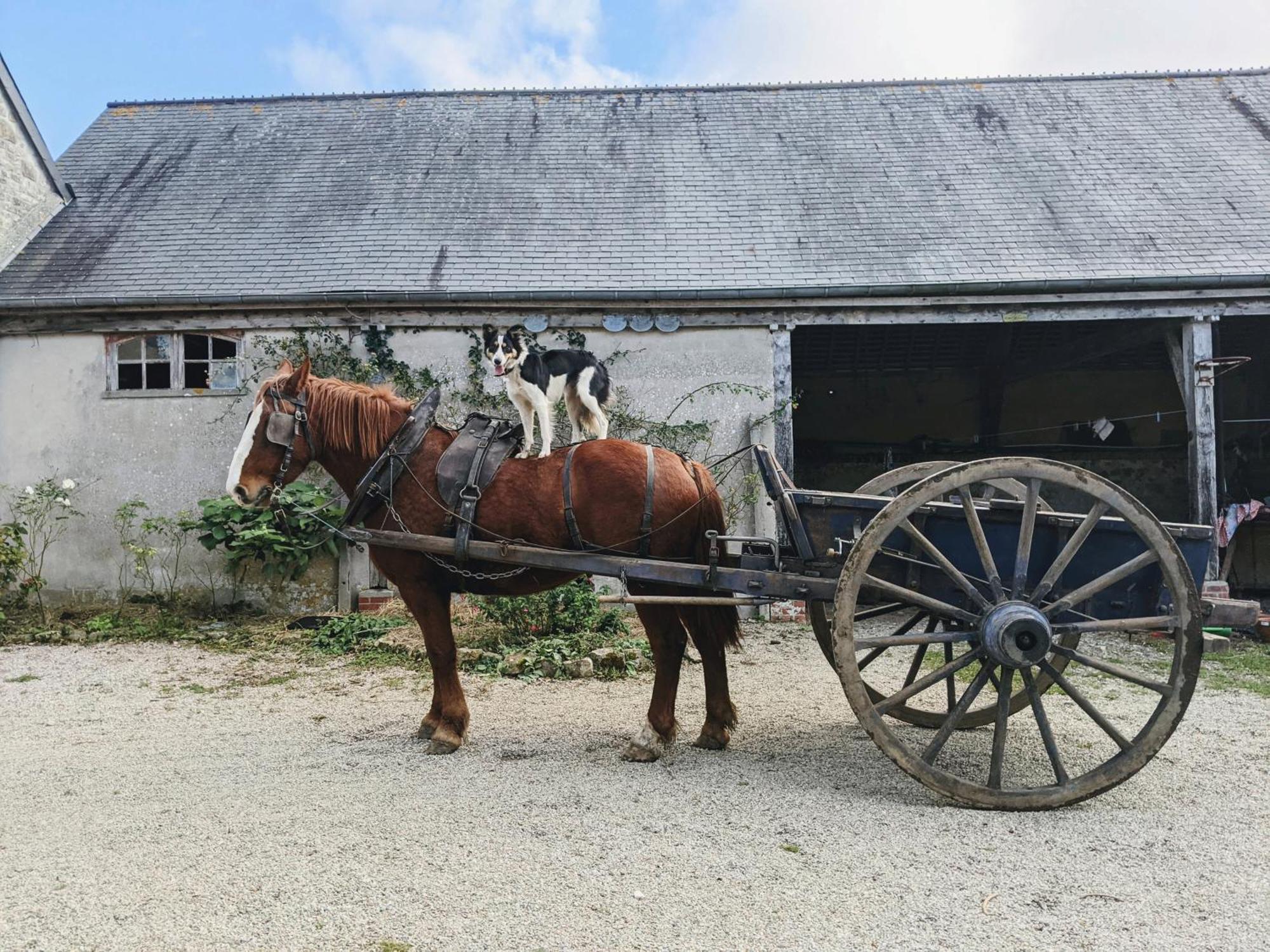 Ferme De Franqueville Сант-Мари-дю-Мон Екстериор снимка