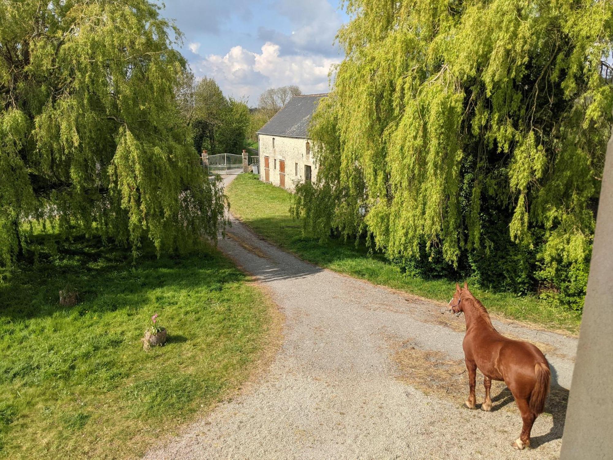 Ferme De Franqueville Сант-Мари-дю-Мон Екстериор снимка