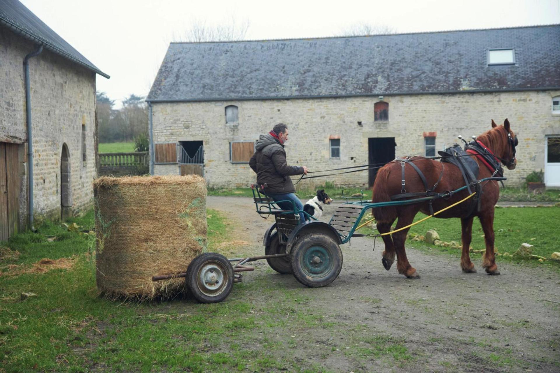 Ferme De Franqueville Сант-Мари-дю-Мон Екстериор снимка